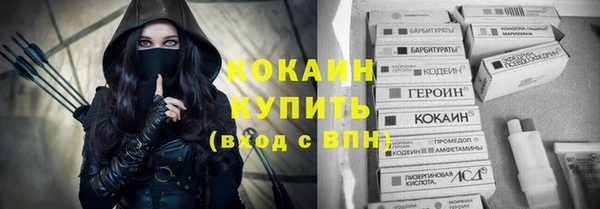 соль ск Абаза