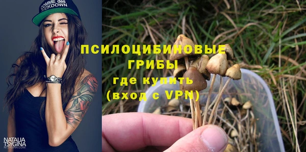соль ск Абаза