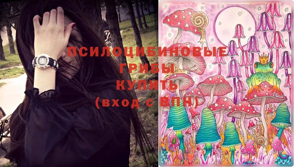 тгк Абинск