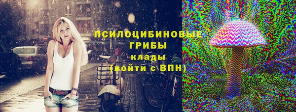соль ск Абаза