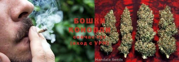 соль ск Абаза