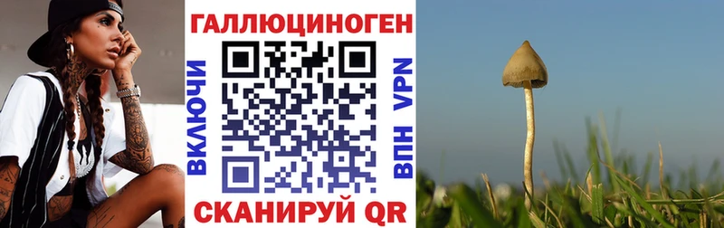 Псилоцибиновые грибы мухоморы  kraken рабочий сайт  Холмск  наркота 