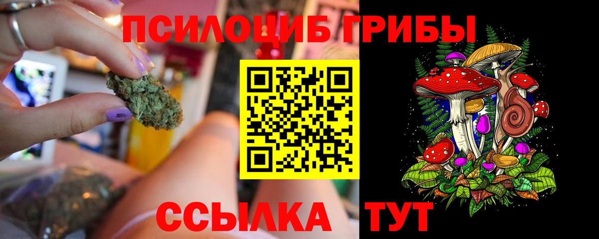 Галлюциногенные грибы GOLDEN TEACHER  Вход с VPN  Псилоцибиновые грибы прущие грибы  Холмск 