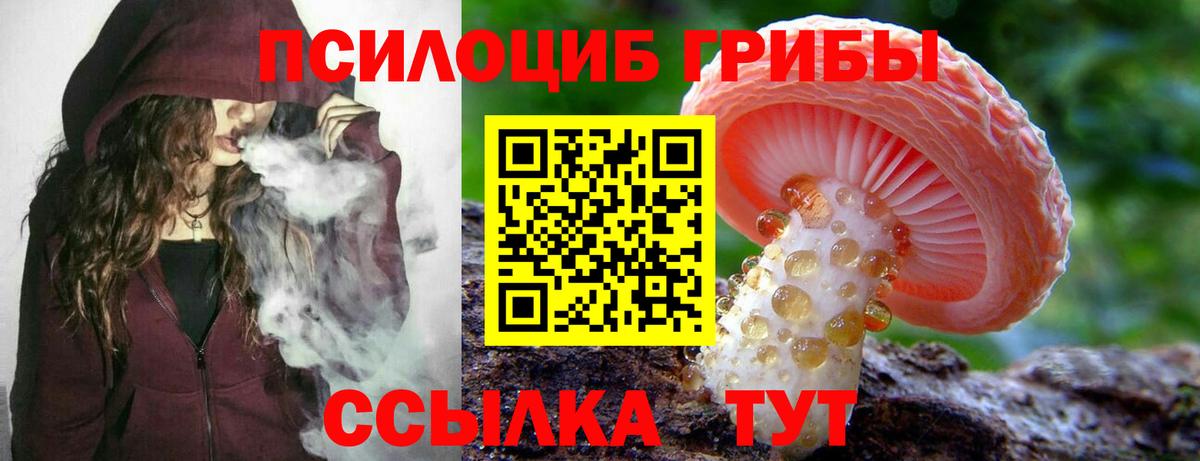 Псилоцибиновые грибы MAGIC MUSHROOMS Холмск